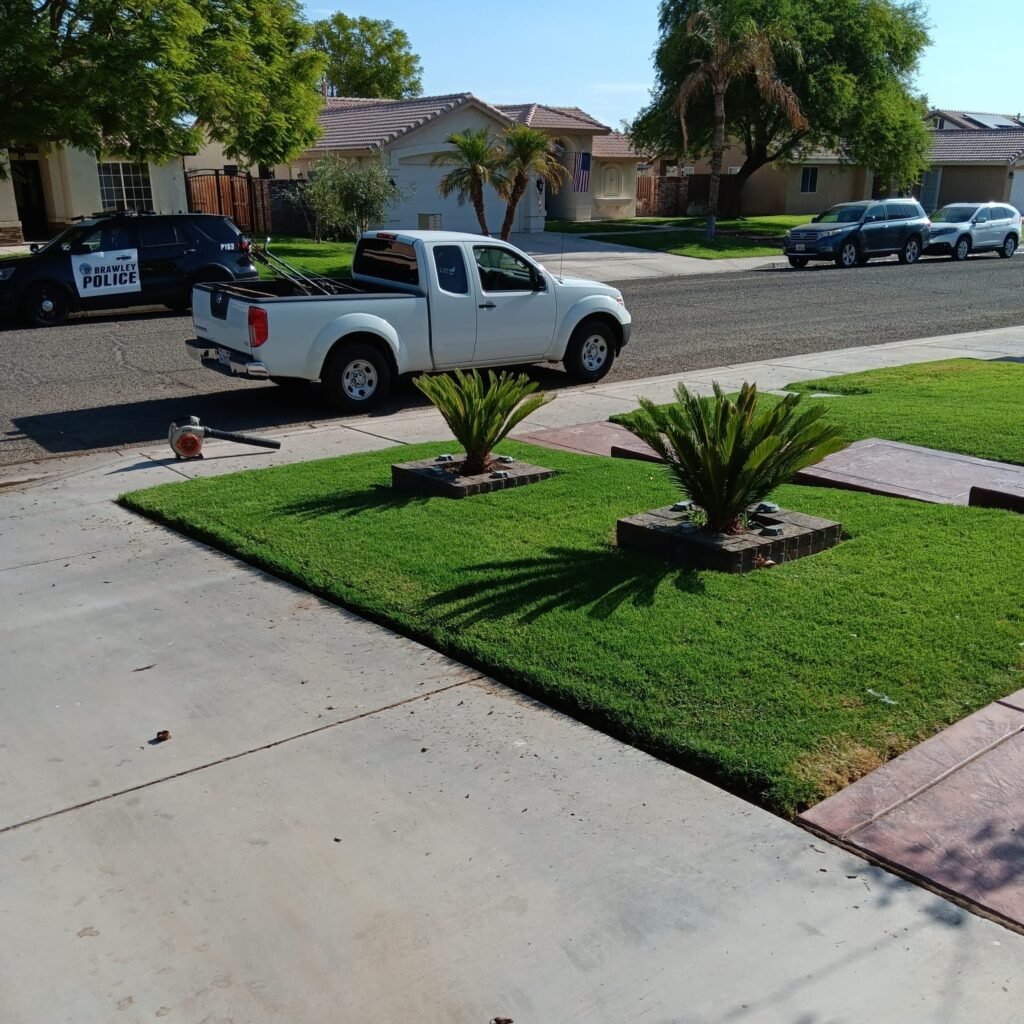 Freshly mowed front lawn with palms and a work truck at the curb in Brawley, CA