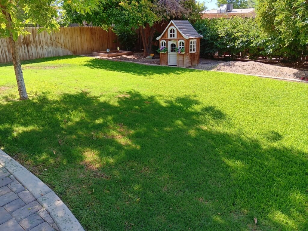 Healthy green backyard lawn with a playhouse, mowed and edged in Brawley, CA