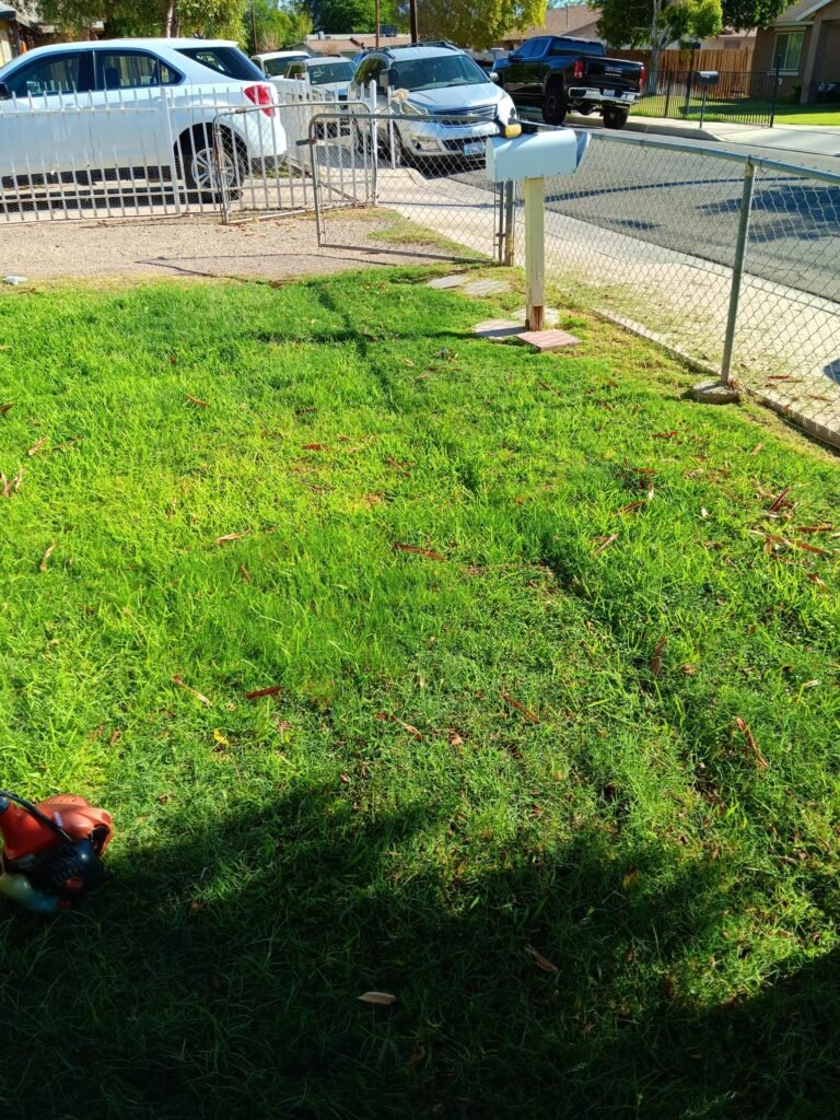 Front lawn and mailbox strip mowed and edged on a Brawley, CA street