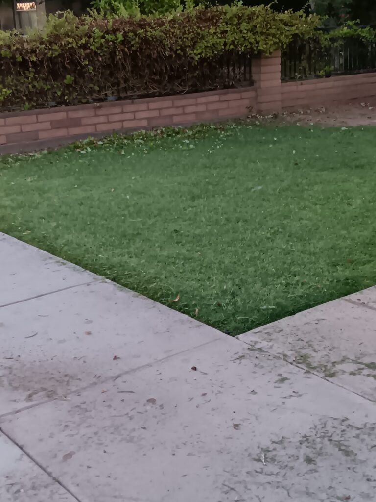 Neatly edged front lawn beside a brick wall and hedge in Brawley, CA