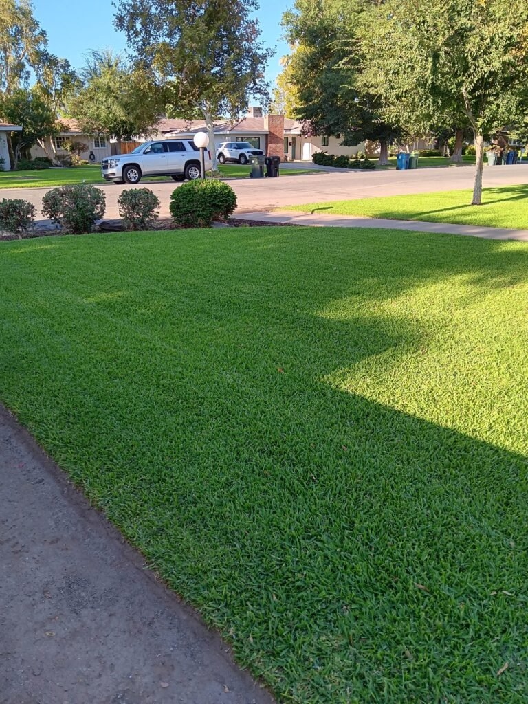 Freshly mowed lawn with clean mowing stripes in front of a Brawley, CA home