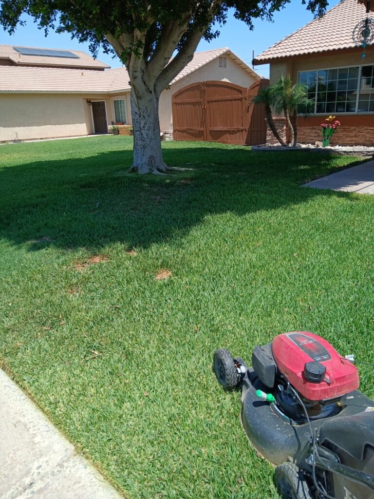 Shaded front lawn with a mature tree, mowed with a walk-behind mower in Brawley, CA