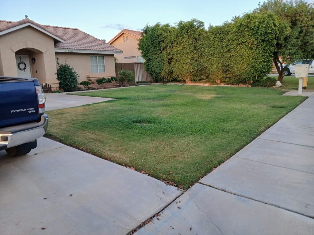Mowed and edged front lawn with trimmed shrubs at a Brawley, CA home