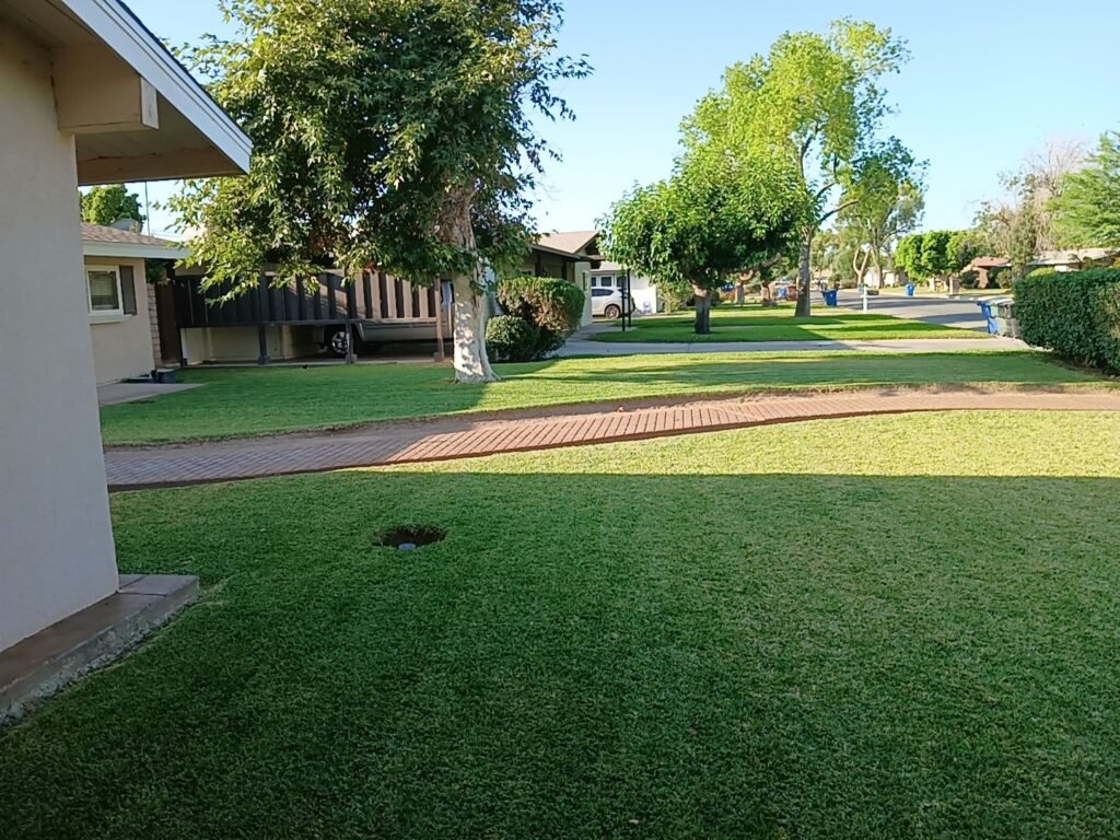 Wide open green lawn under mature trees on a Brawley, CA street