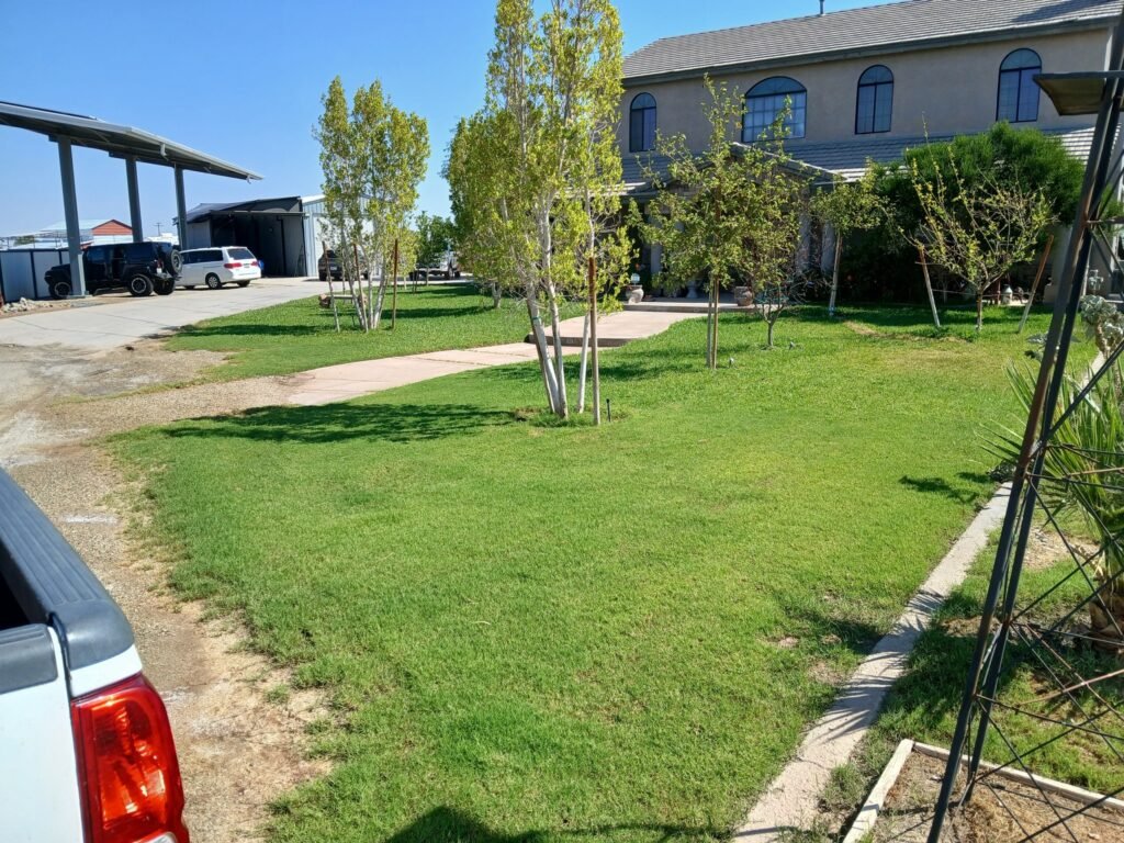 Lawn strip beside a carport, mowed and edged in Brawley, CA
